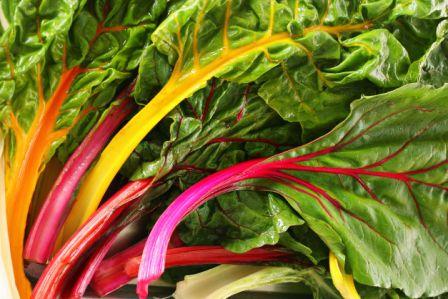 Organic Improved Rainbow Mix Chard, Beta vulgaris